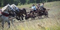 75 rocznica krwawej bitwy pod Czerwonym Borem