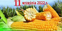 Podlaskie kukurydzą stoi - Krajowy Dzień Kukurydzy  w Szepietowie - 11 września 2022 r.