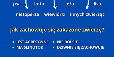 ulotka dot. wścieklizny u zwierząt