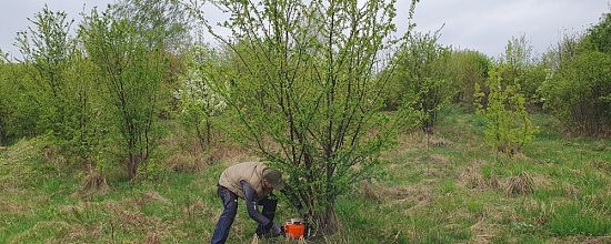 Strażacy oczyszczali Górę Królowej Bony