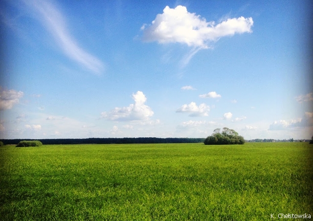 Pomoc dla rolników - płatności bezpośrednie