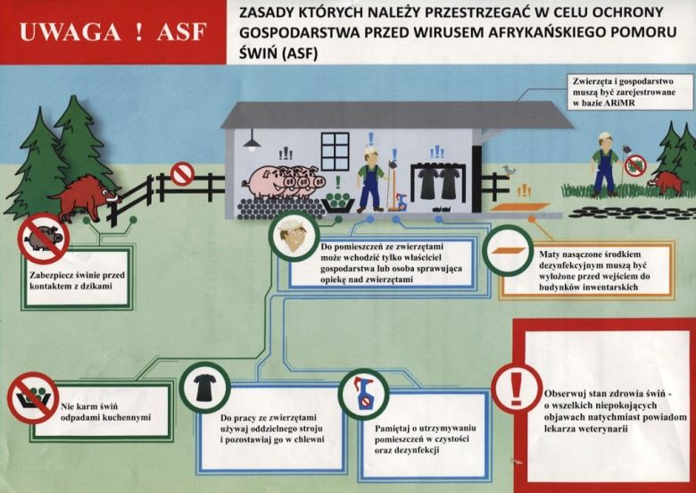 Apel do hodowców trzody chlewnej w sprawie ASF