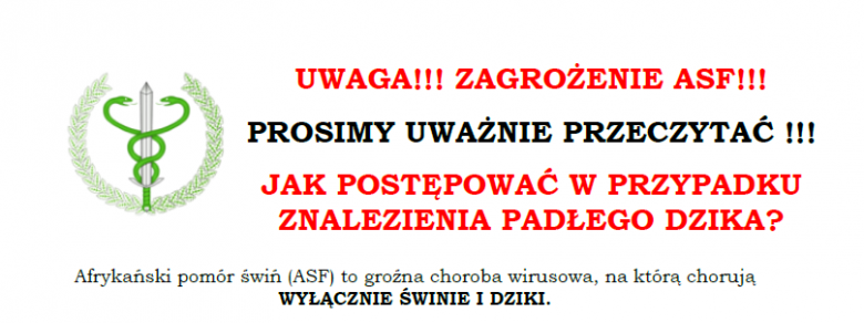 Jak postępować w przypadku znalezienia padłego dzika?