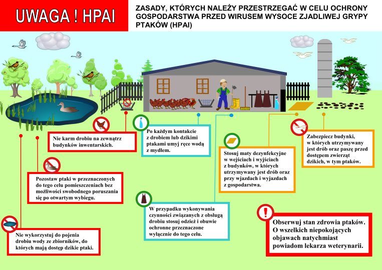 Zasady ochrony drobiu przed ptasią grypą