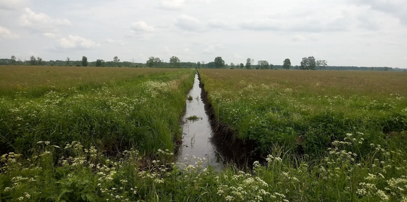 Spotkanie dot. omówienia planów związanych z zabagnieniem terenu obszaru Natura 2000 