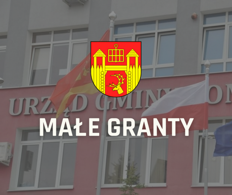 INFORMACJA – TRYB MAŁYCH GRANTÓW - brak uwag do oferty